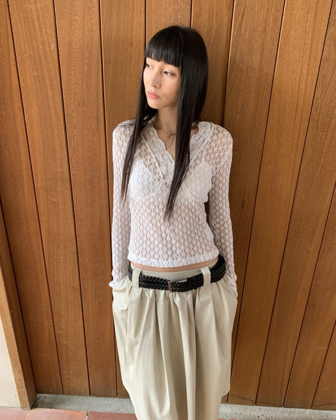 Sheer V-Neck Long Sleeve Top