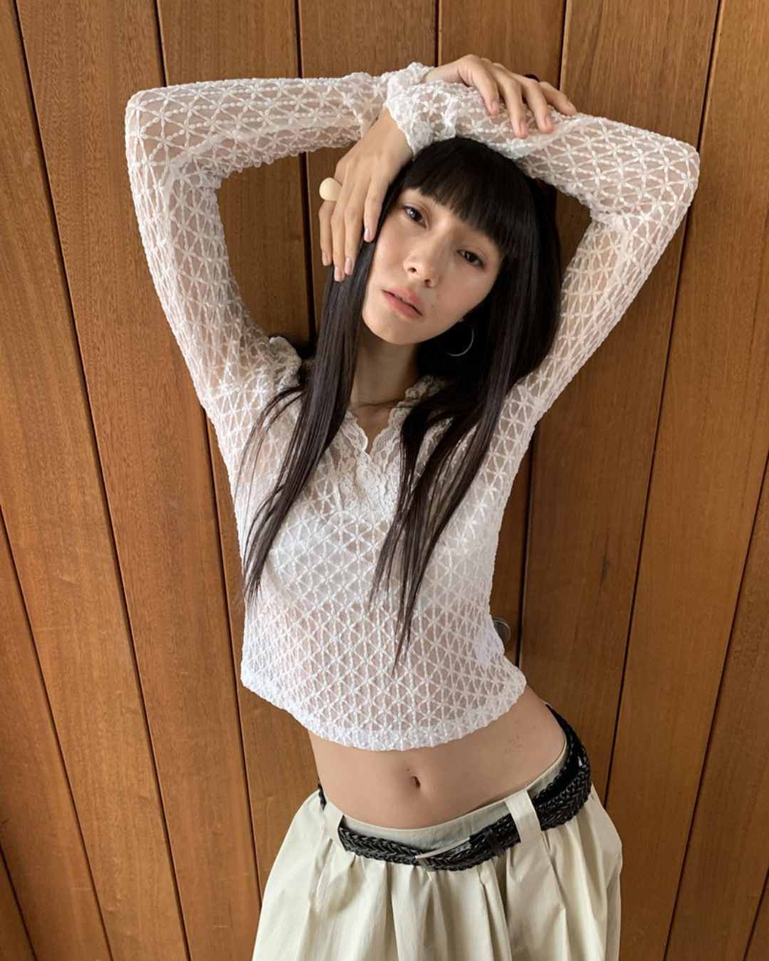 Sheer V-Neck Long Sleeve Top