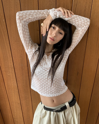 Sheer V-Neck Long Sleeve Top